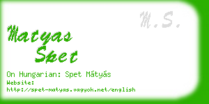 matyas spet business card